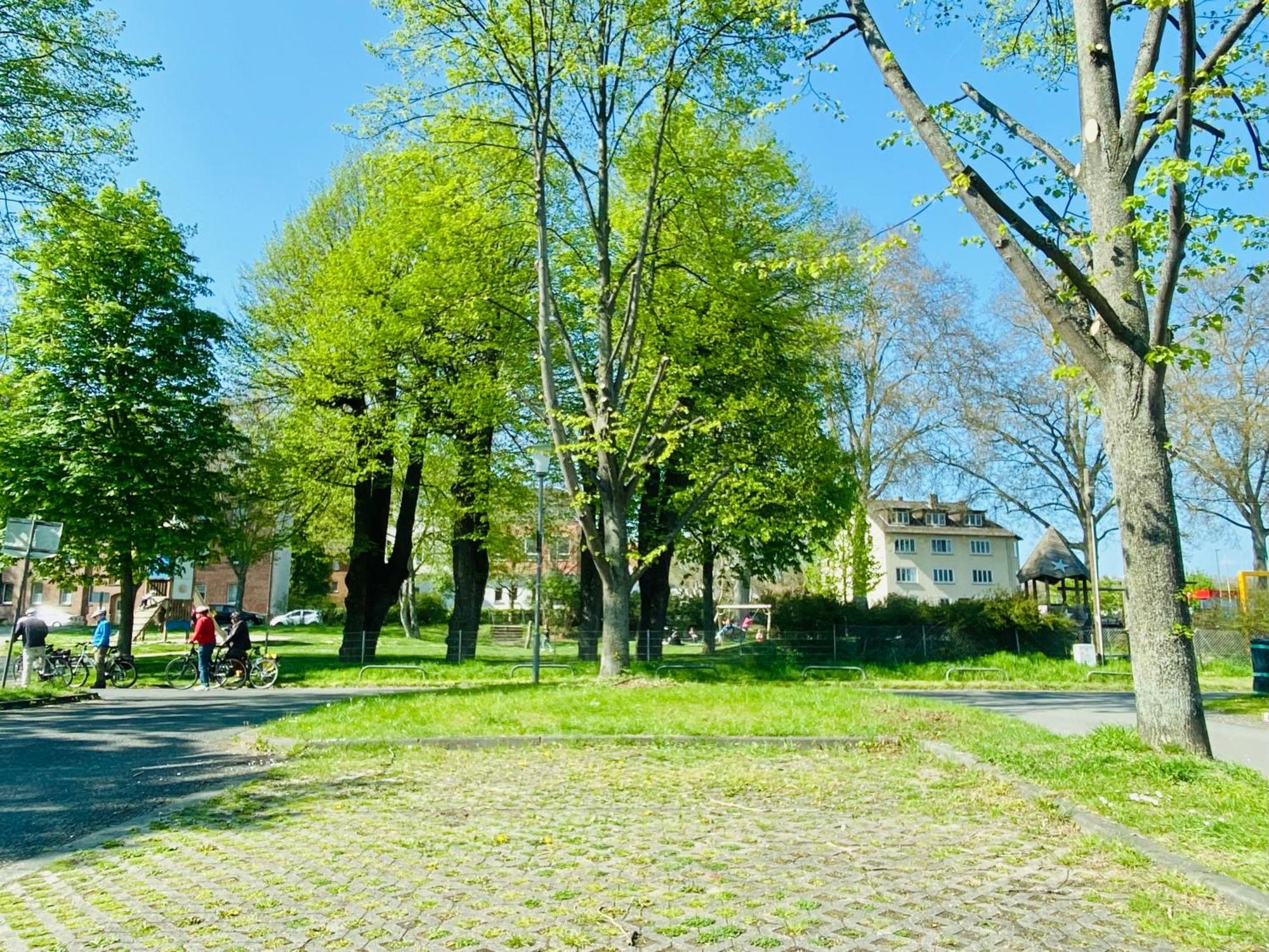 Kassel: Alles, Was Du Brauchst! Kültér fotó
